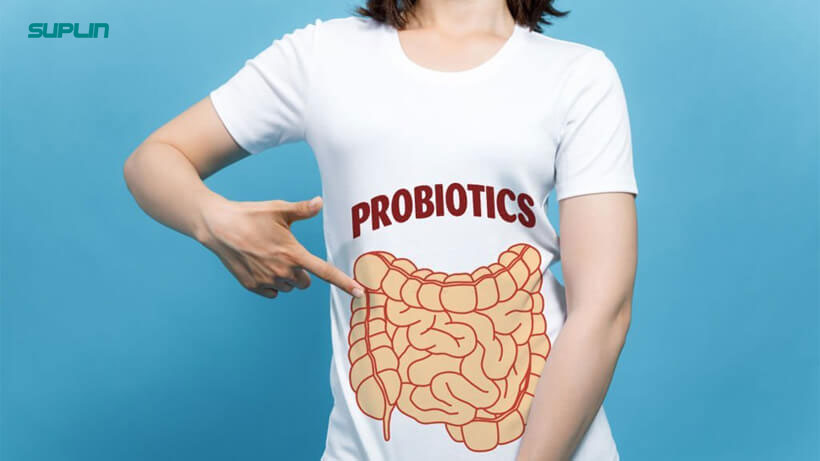 فواید پروبیوتیک ها در بدنسازی