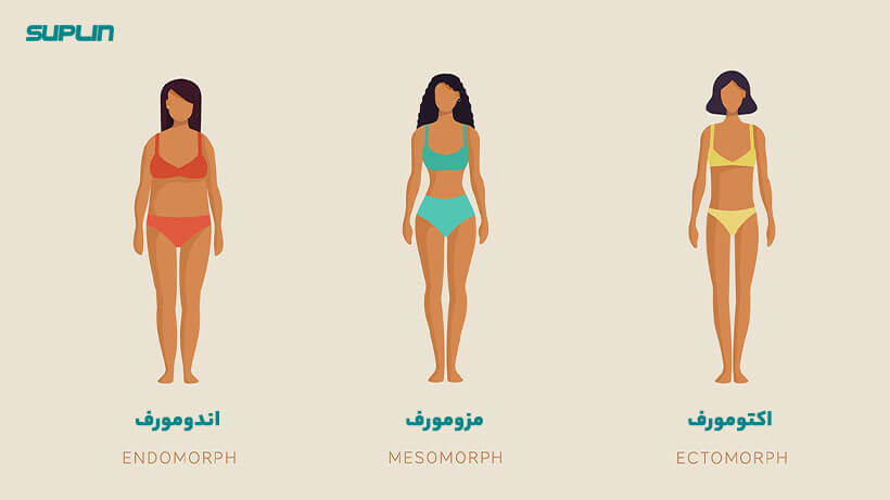 تیپ های بدنی body types