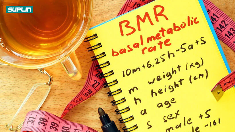 متابولیسم پایه یا bmr